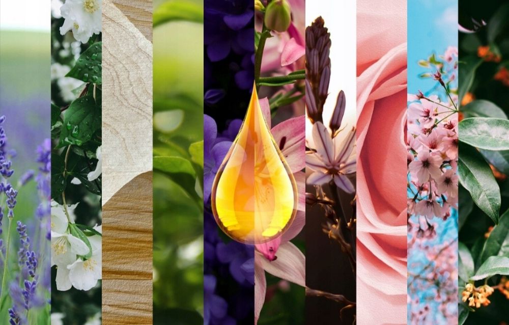 Olejki zapachowe eteryczne zestaw 12 sztuk 120ML aromatyczne do sauny