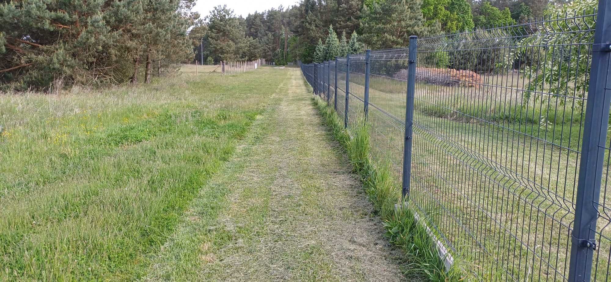 Działka w miejscowości Rąpin w puszczy noteckiej
