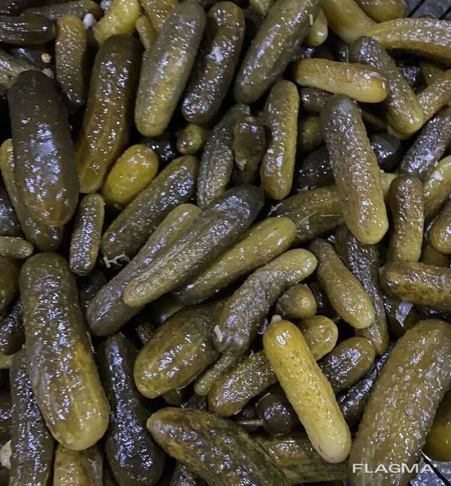 Квашені огірки в бочках Соленые Огурцы (Опт)