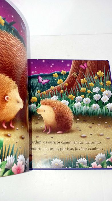 Espreita pela Janela Mágica