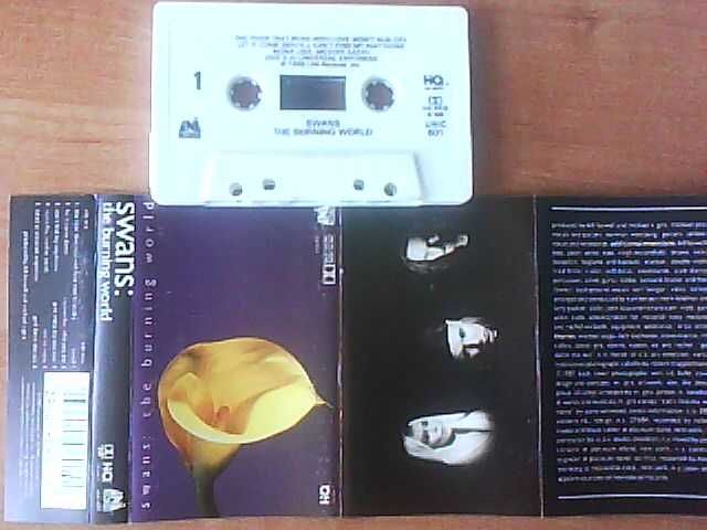 ^^^ SWANS *** THE BURNING WORLD *** Omniscience