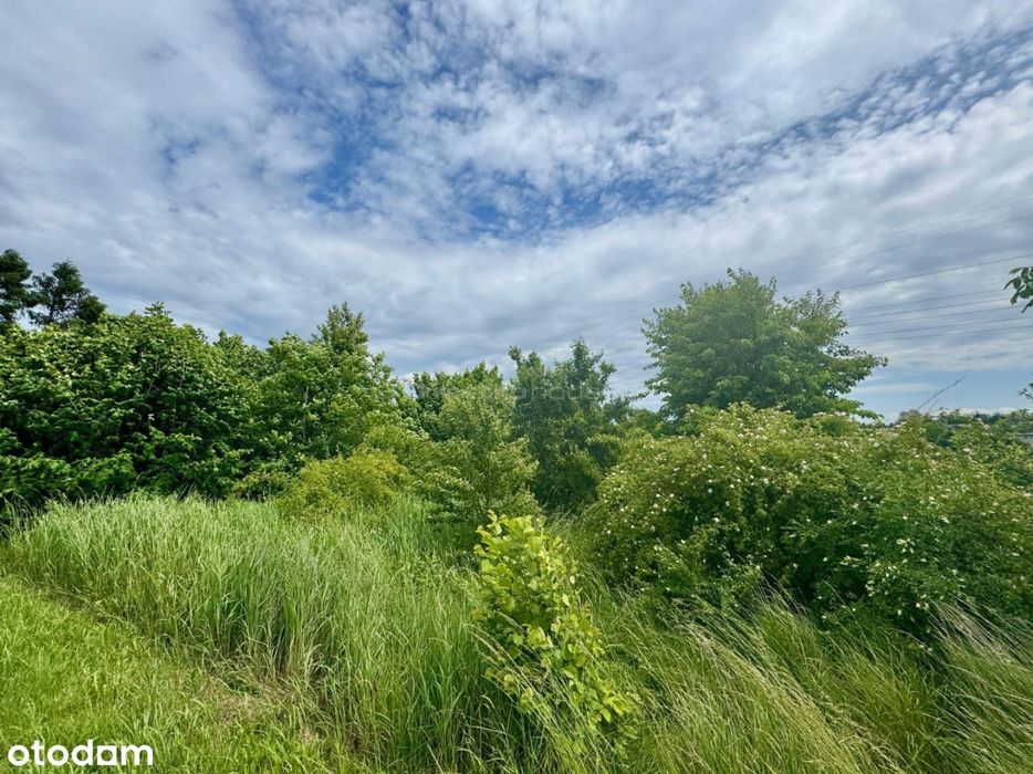 Działka budowlana 2073 m² ul. Żytnia, Piece