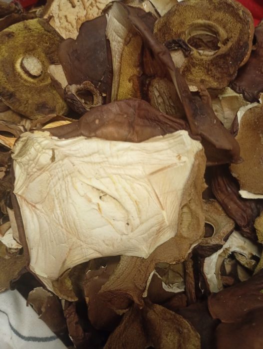 Sprzedam suszone podgrzybki