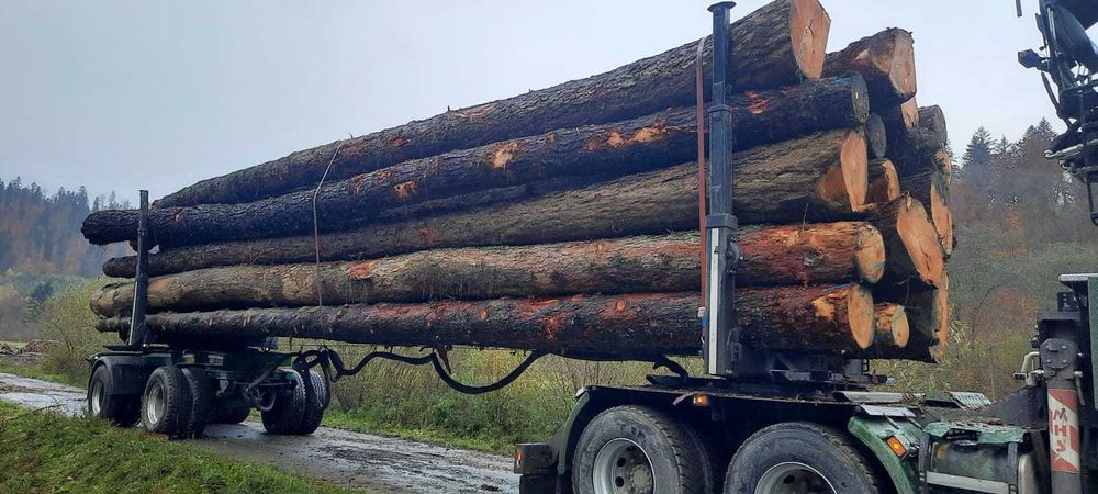 DREWNO OKRĄGŁE Tartaczne, duże ilości stała współpraca
