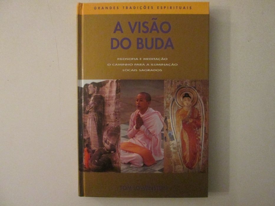 A visão de Buda- Tom Lowenstein