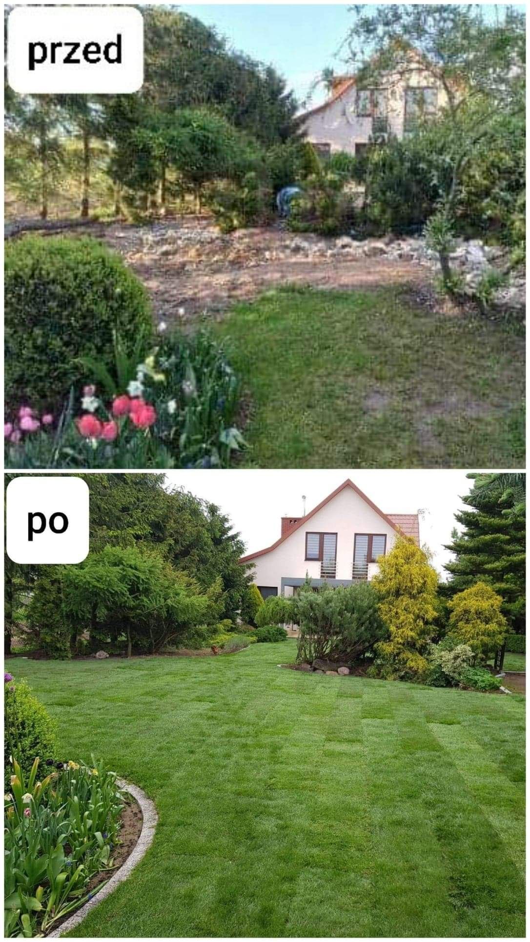 Usługi ogrodnicze zakładanie trawników