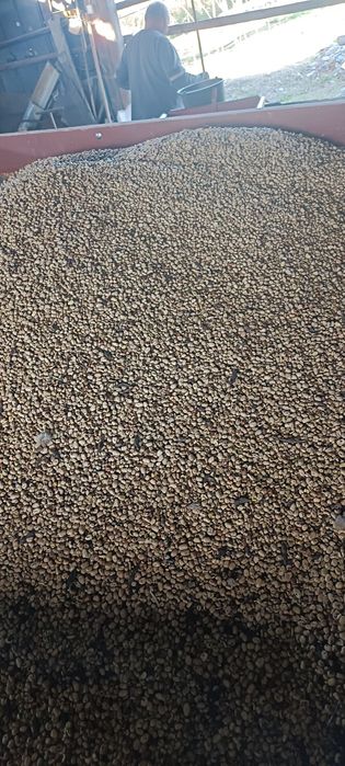 Bobik Ekologiczny Bobik