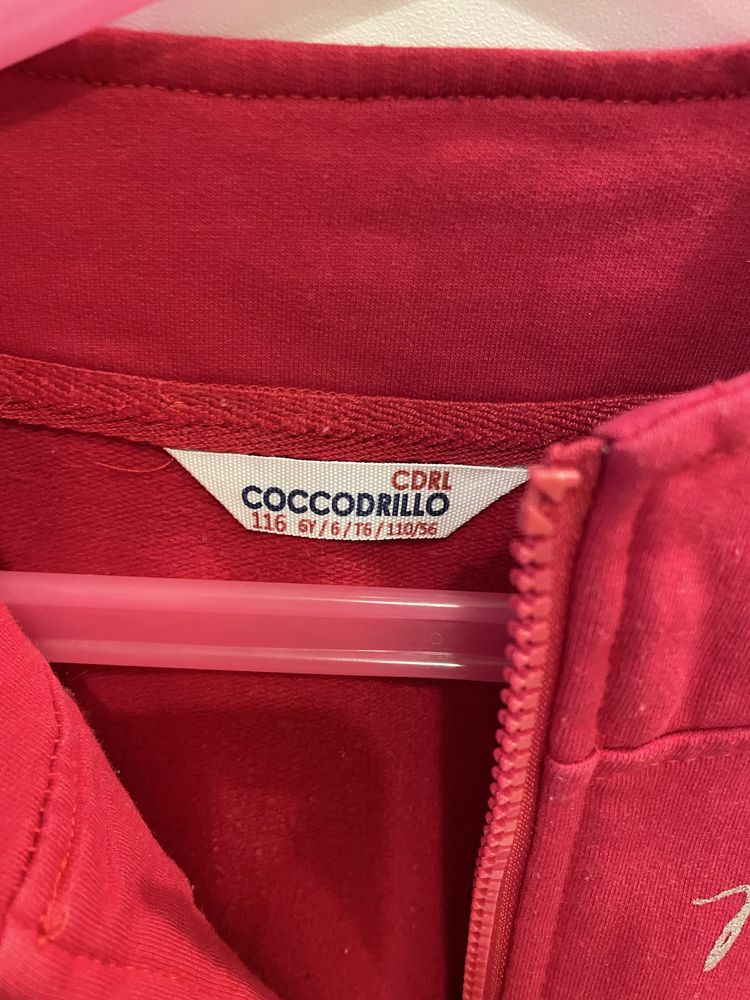 Bluza Coccodrillo 116