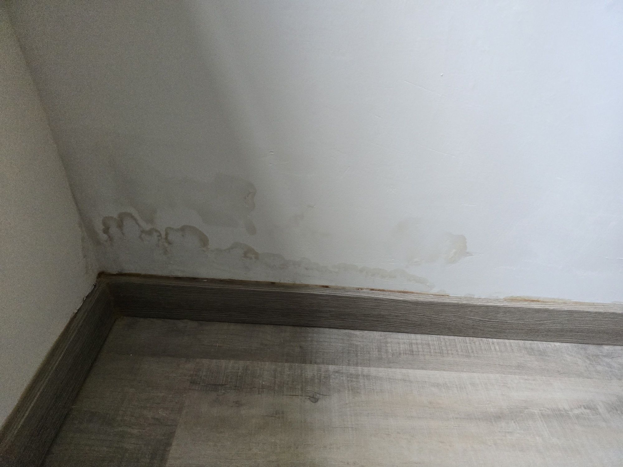 Exécutants trabalhos de construcao
