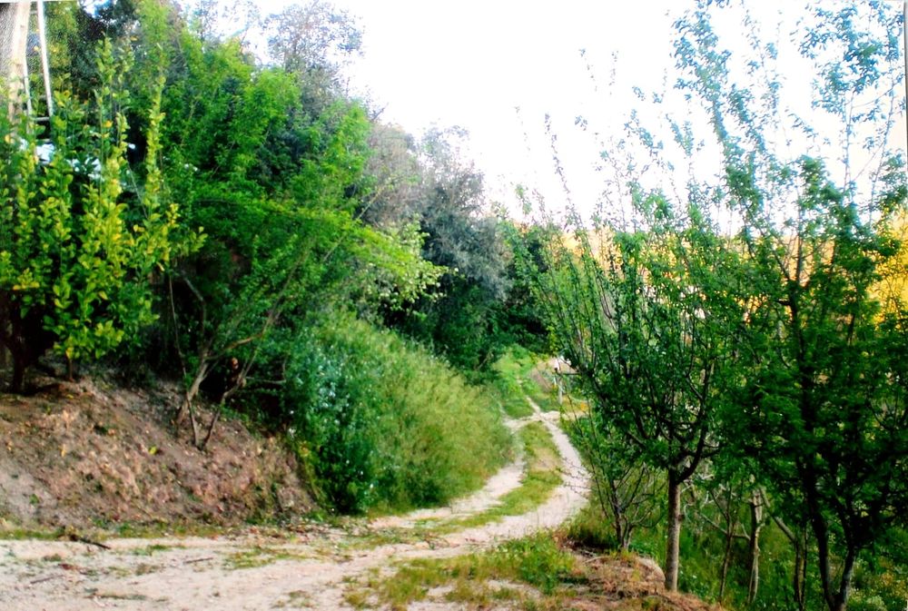 Terreno rústico com casa madeira de apoio ao parque lazer