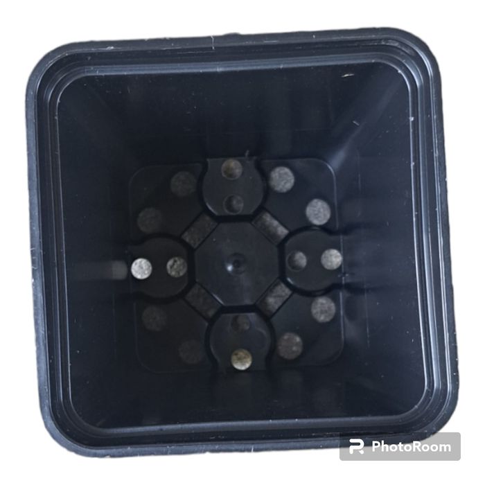 Doniczki produkcyjne P9 0,6L