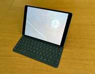 iPad Pro 10.5 inch 256 GB Wi-Fi + Cellular+ Etui Aleksander Mqueen