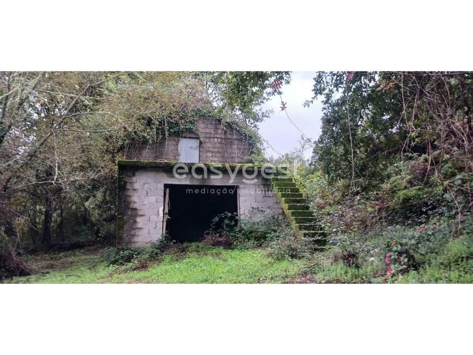 Espetacular terreno agrícola localizado em Aval-Bodiosa-Viseu-Portugal