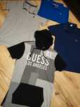 Koszulki Lacoste guess Ralph Giant
