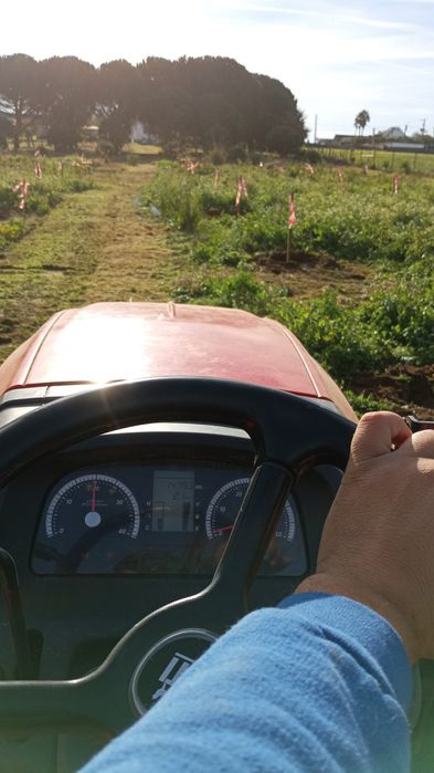 Limpezas agrícolas e florestais