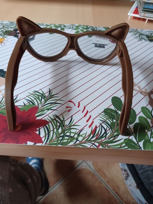 Okularki koty przebranie