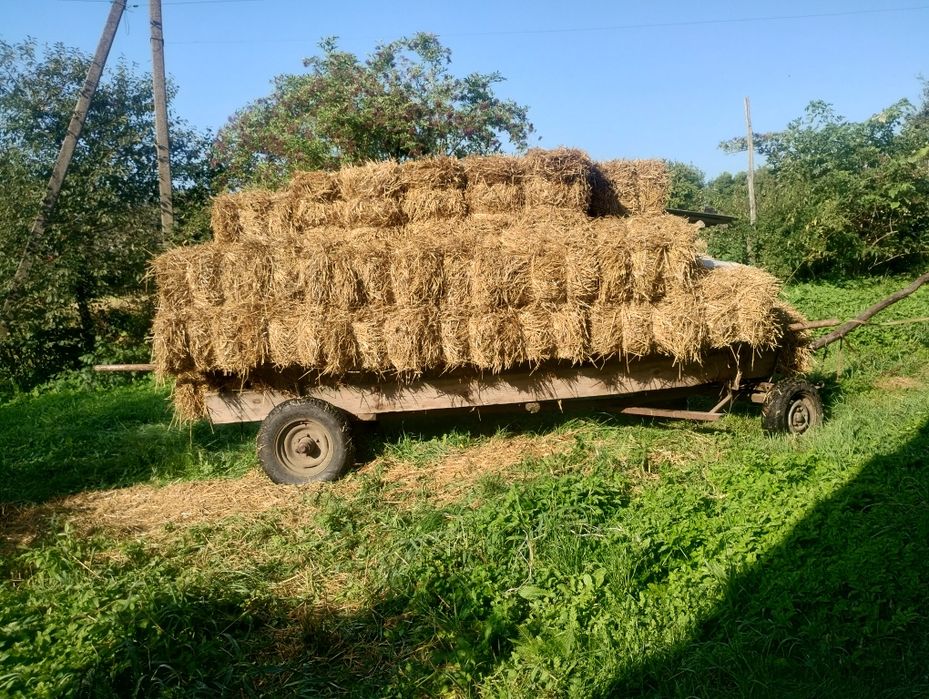 Солома. Тюк. Тюки соломи