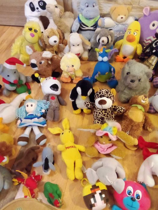 Maskotka pies piesek kot  maskotki kotek pluszak