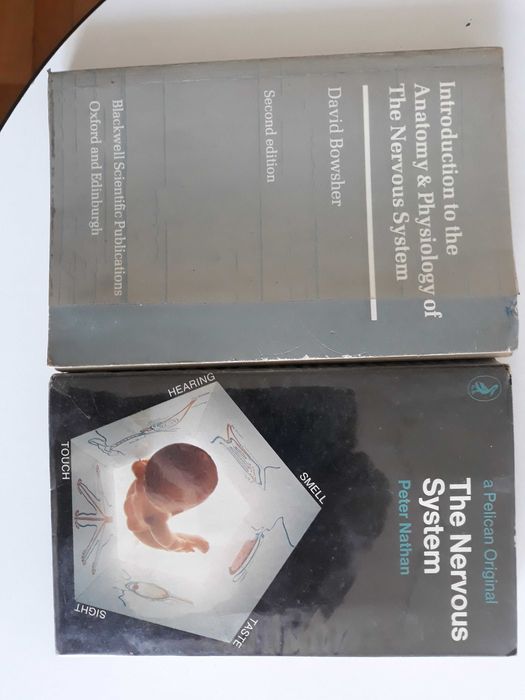 Neurologia Dwie książki medyczne o Systemie nerwowym Angielskie