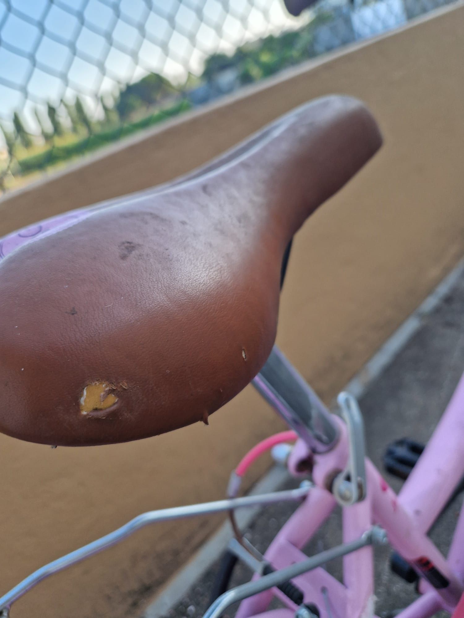 Bicicleta Berg menina roda 24