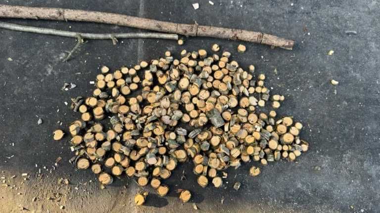 Садовий акумуляторний секатор ножиці садові акумаляторні через USB-C