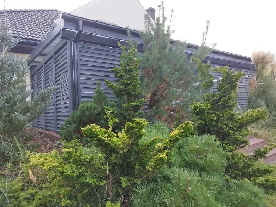 Zadaszenie tarasu pokrycie plexi lite 6mm solidnie polecam