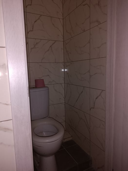 Цегляний будинок в Кобилянці біля Снова