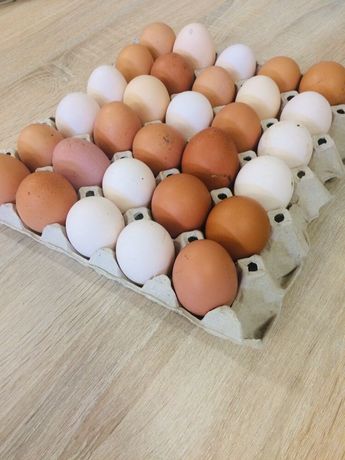 Jaja,jajka wiejskie,domowe.Gospodarstwo Rolne.