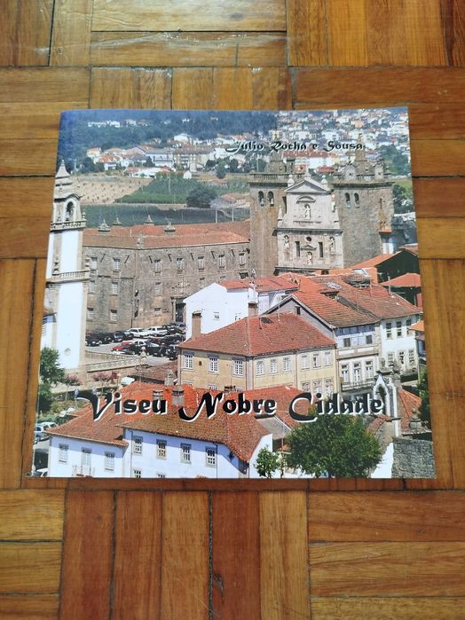 Viseu Nobre Cidade - Júlio Rocha e Sousa