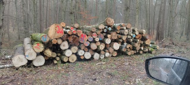 Drewno opałowe kominkowe, gałęziówka. Różne gatunki!Tylko kontakt tel.