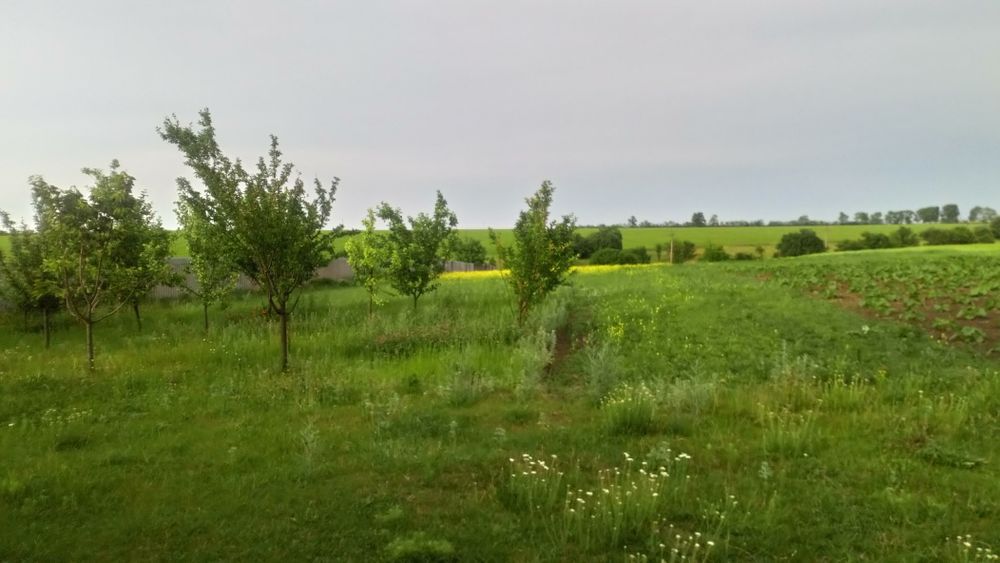 Продам будинок Садова