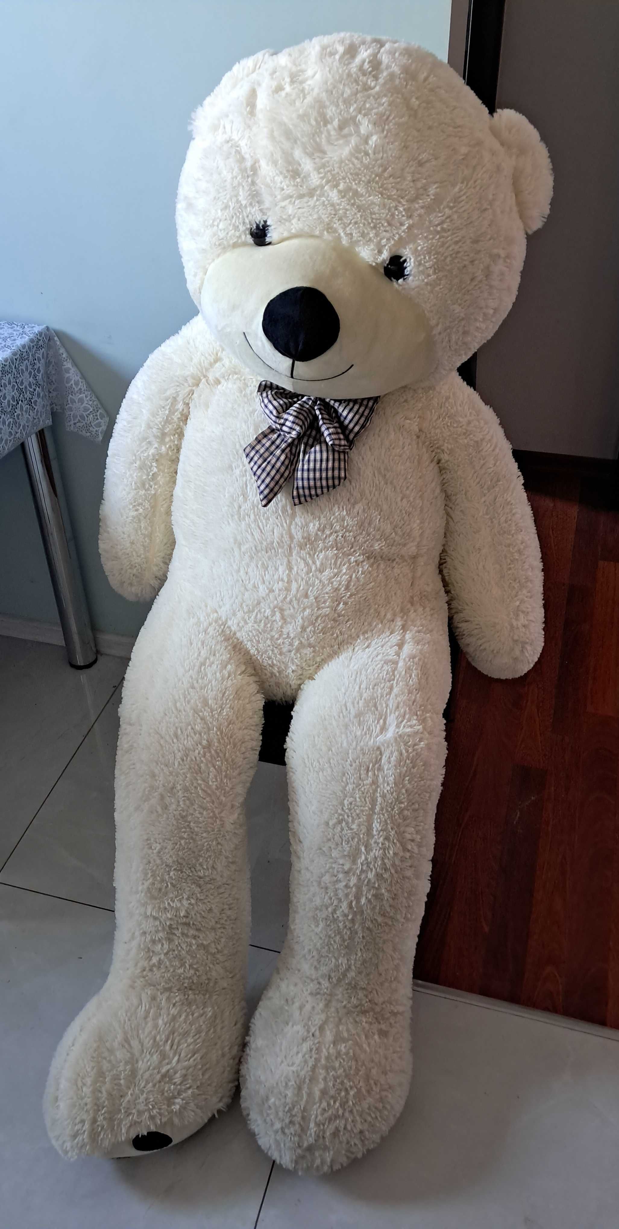 Duży miś pluszowy o wysokości 160cm