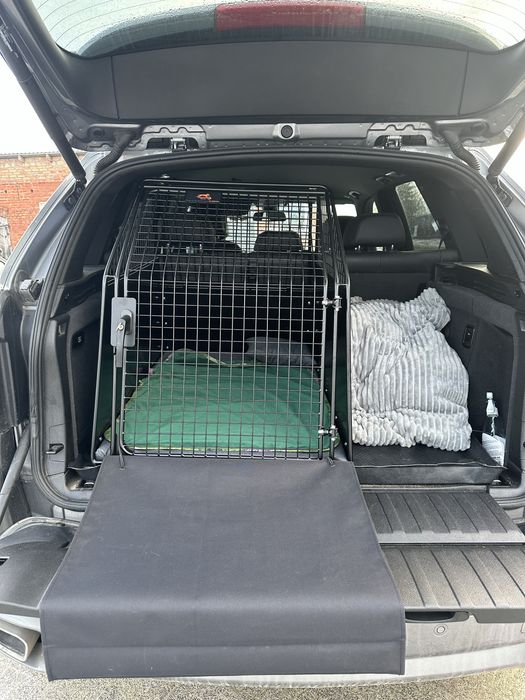 Klatka dla psa do auta