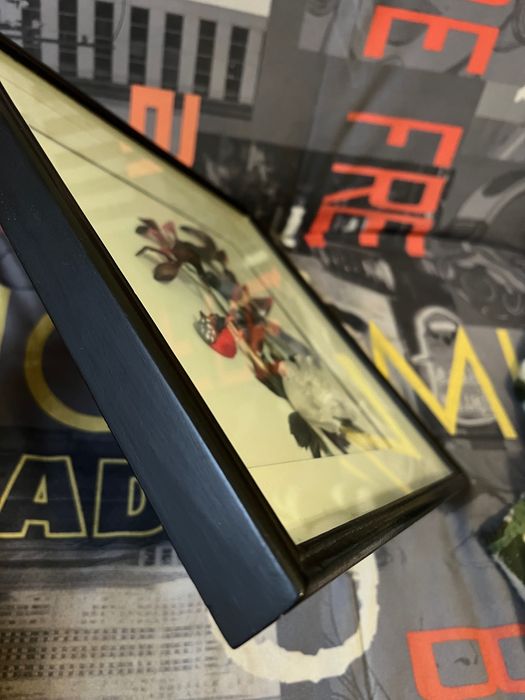 Картина из натуральных перьев винтаж