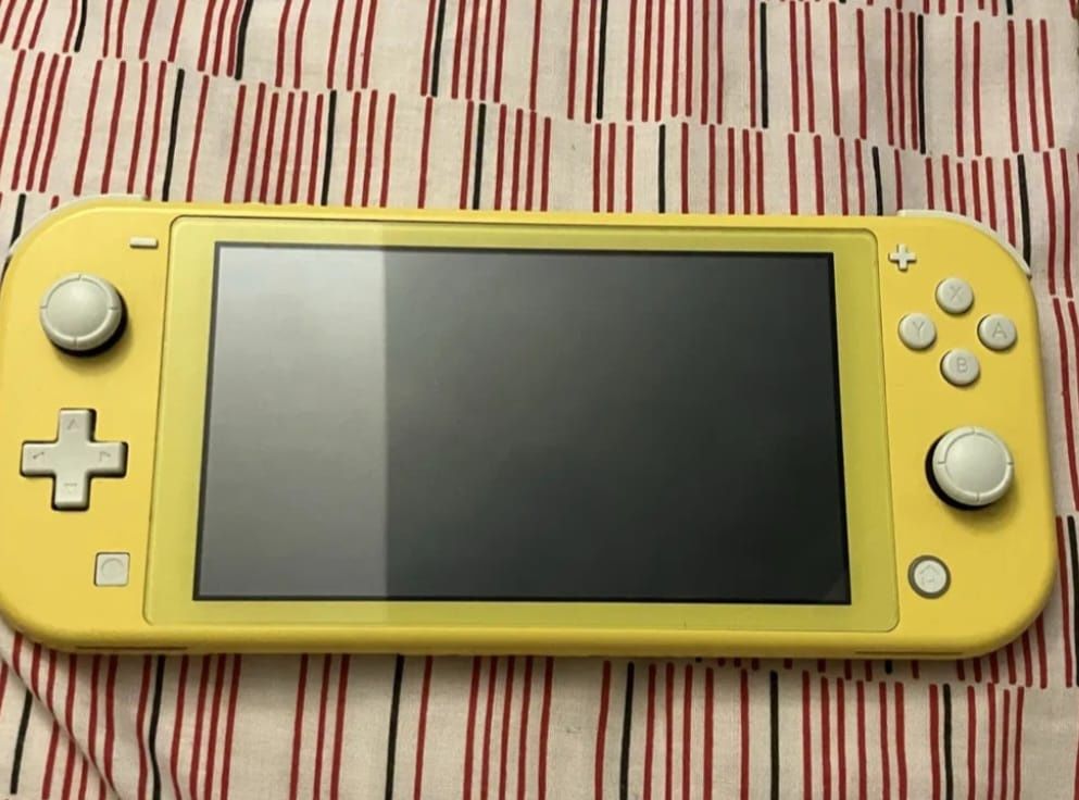 Nintendo switch lite