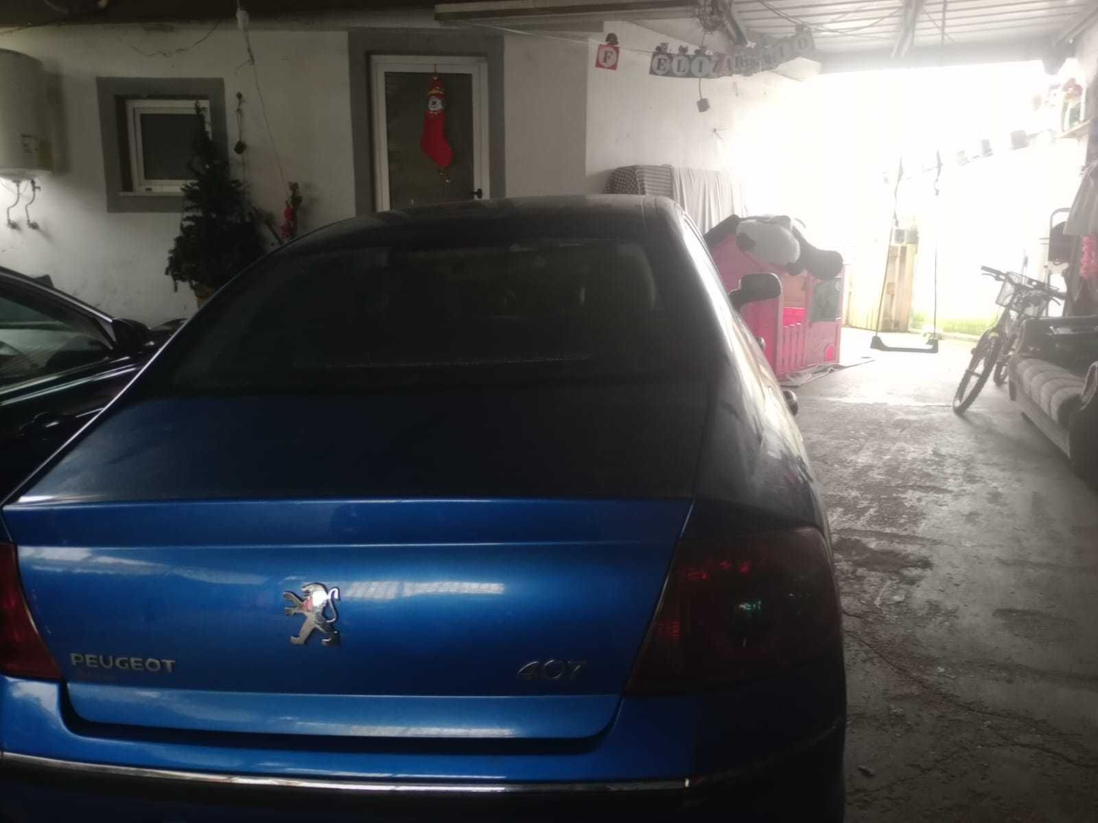 Carro Peugeot 407