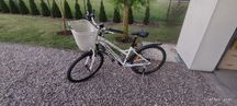 Rower Wheeler 26"