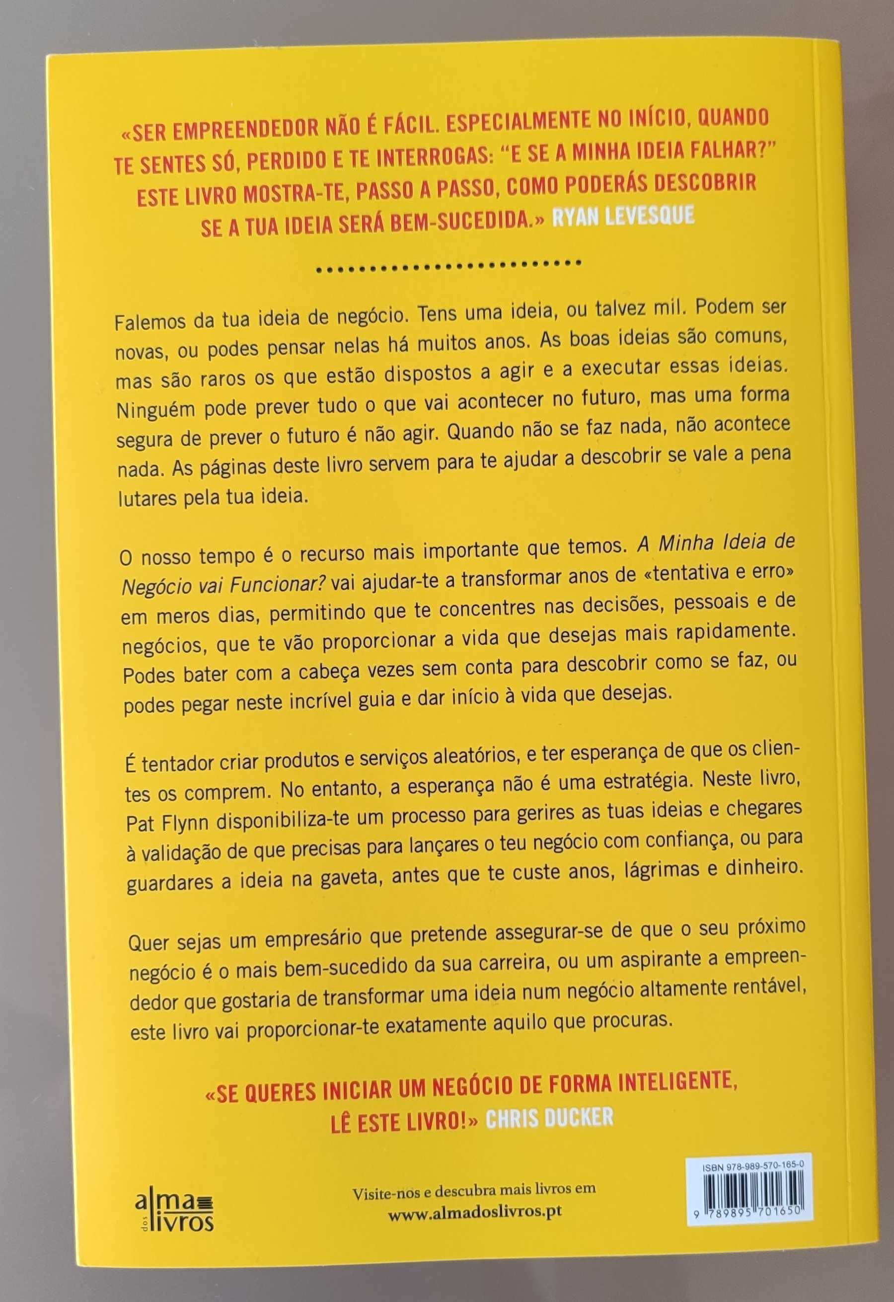 A Minha Ideia de Negócio Vai Funcionar? de Pat Flynn