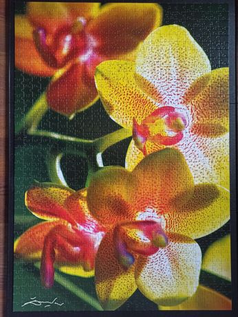 Puzzle trefl nature 2x 1000 orchidea i lilia