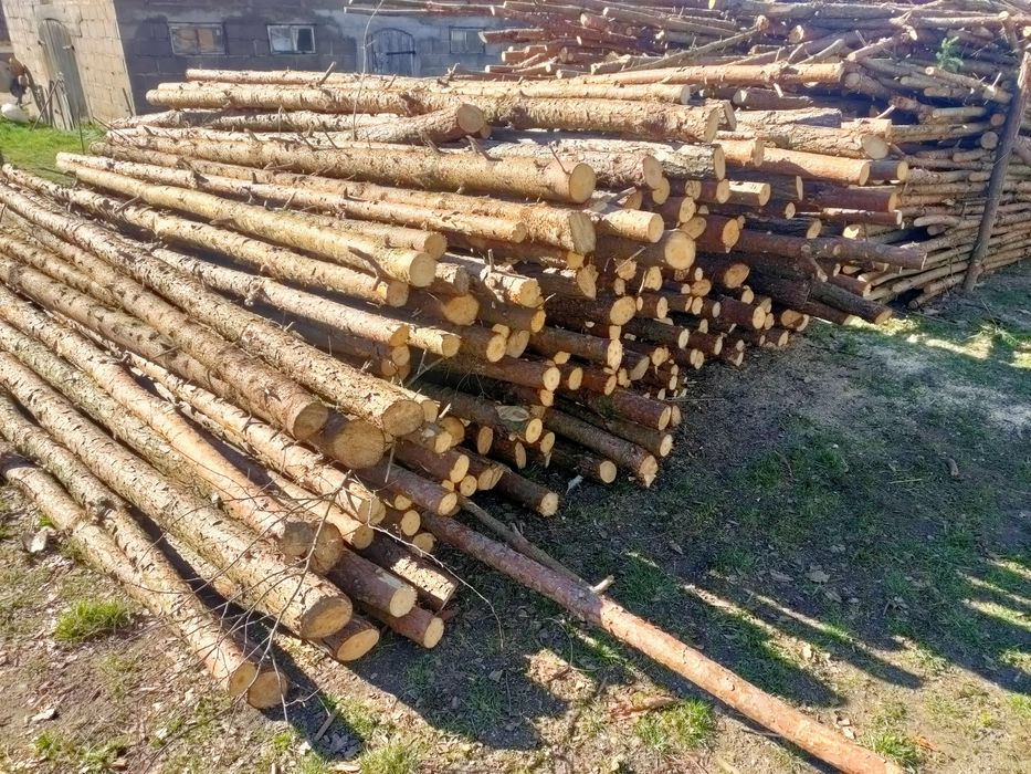 Stemple budowlane sosna