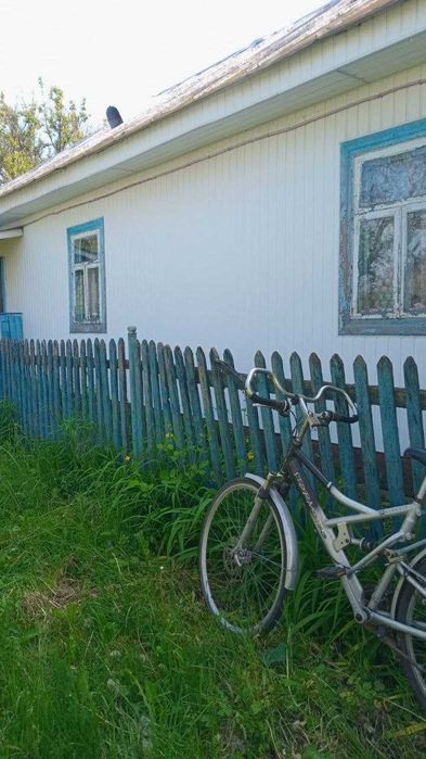 Продаж 1 поверхового будинку з гаражем, с.Дроздні.