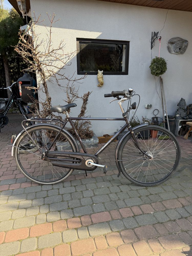 Rower Gazelle Primeur