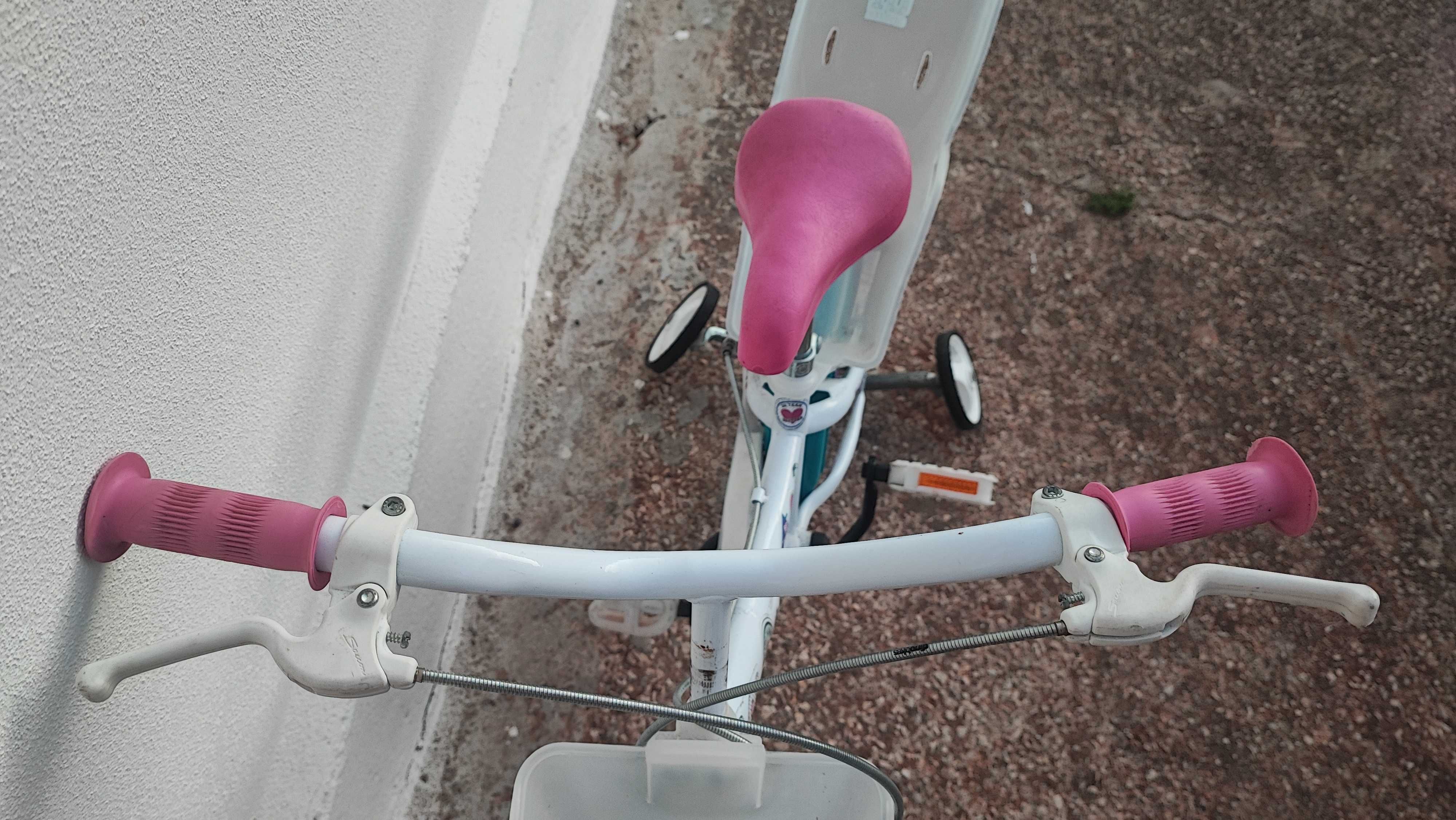 Bicicleta menina 4-7 anos roda 14 polegadas