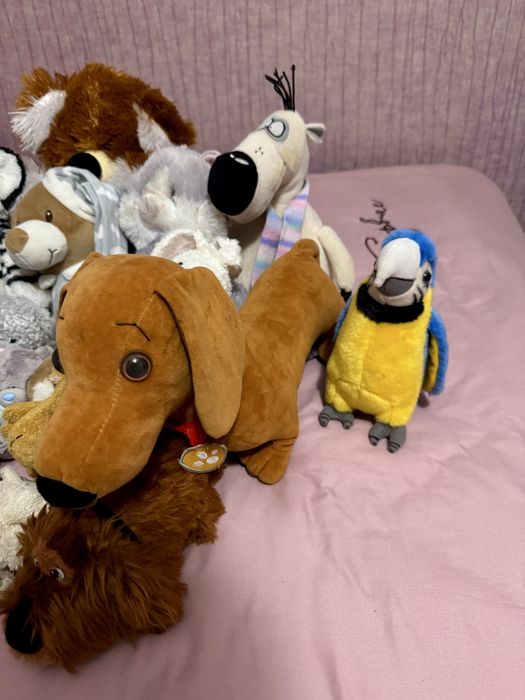 Багато різних дитячих мʼяких іграшок дельфін ведмідь собака панда тигр