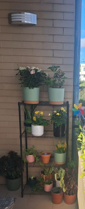 Estante para interior ou exterior