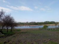 Ділянка біля річки в Бортниках Фастівського району