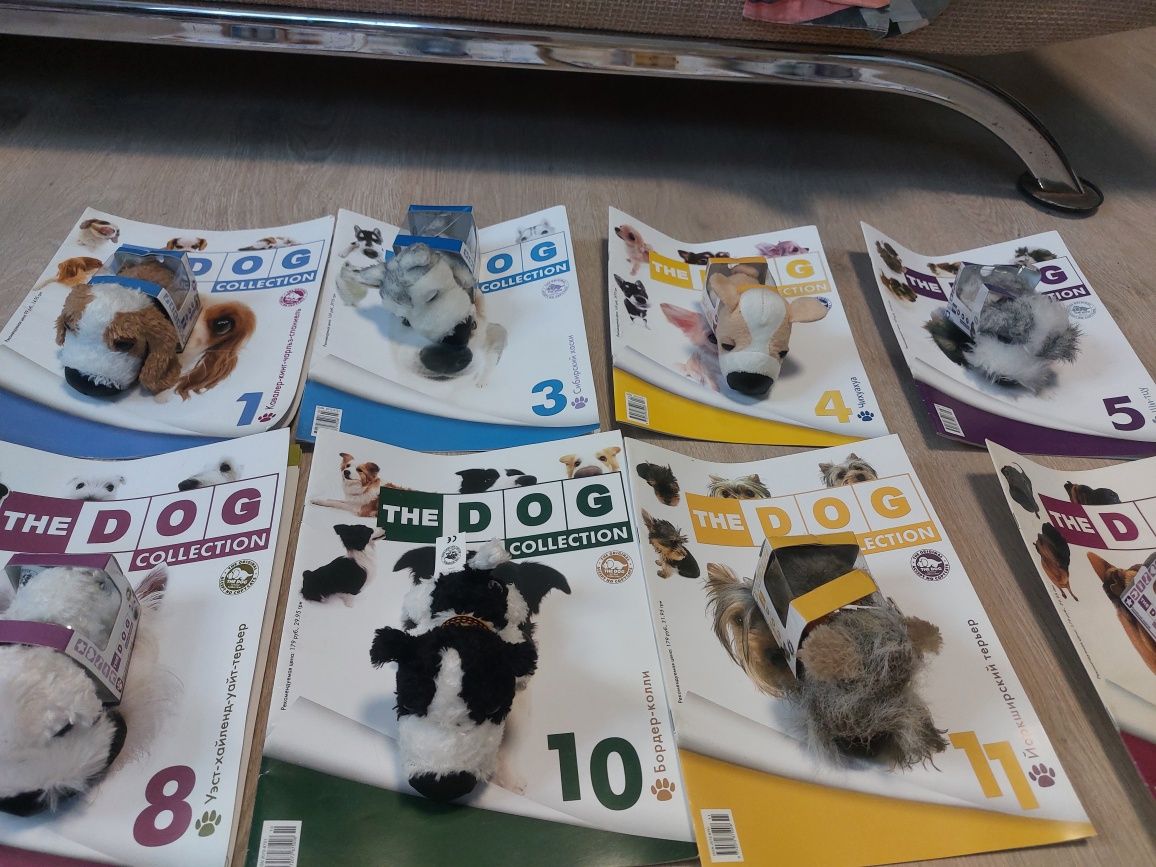 The dog collection