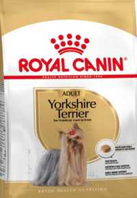 15kg karmy Yorkshire Terrier