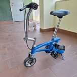 Bicicleta de circo