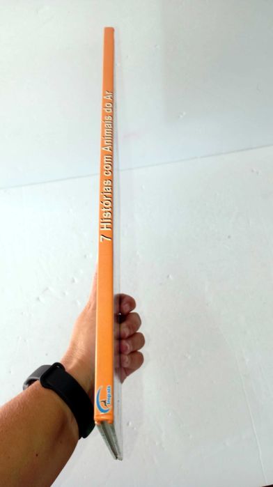 7 Histórias com Animais do Ar